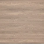 بني فاتح